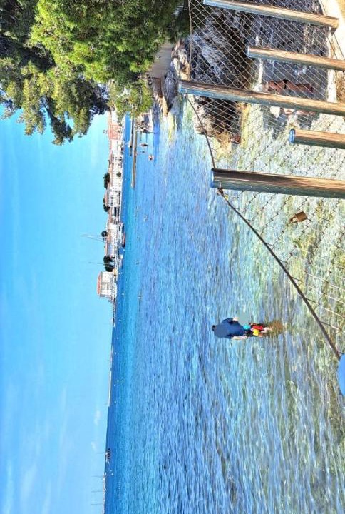 Photo of Others in City Center