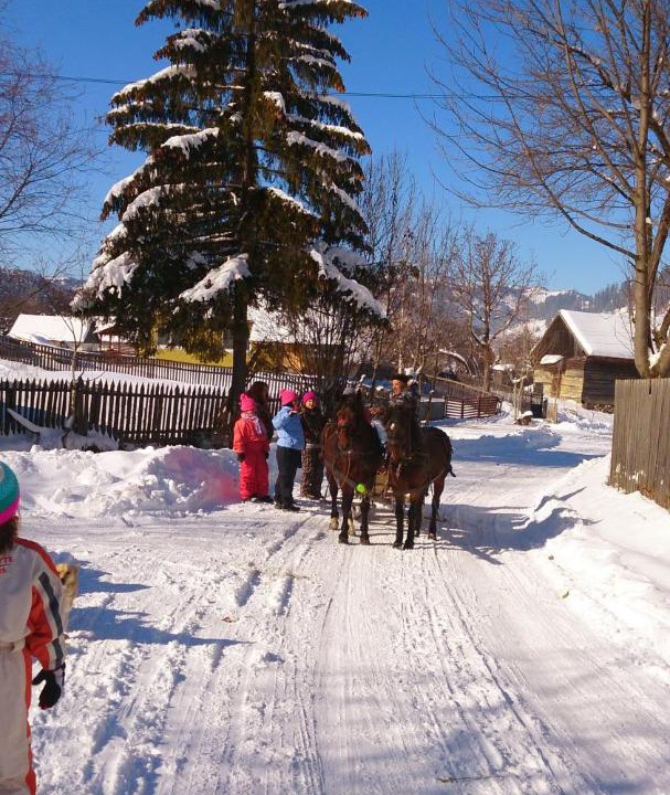 Photo of Others in Valea Boros