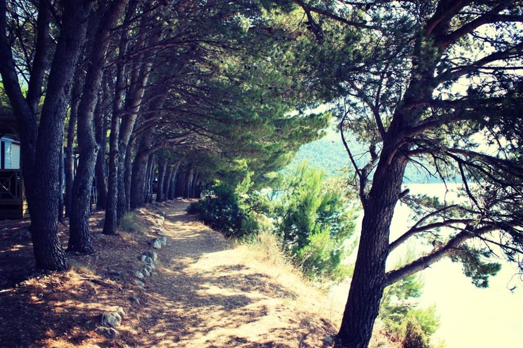 Photo of Outdoor in Blato