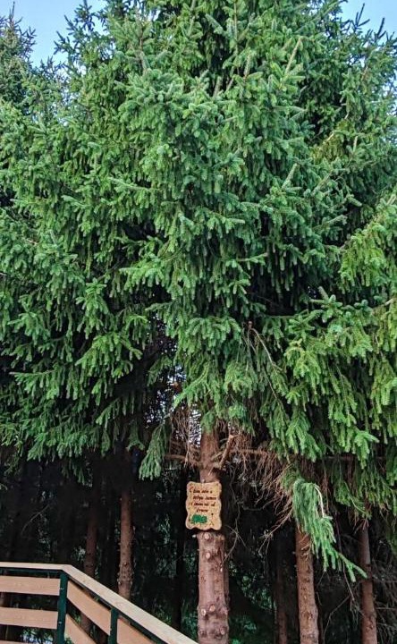 Photo of Outdoor in Krapina-Zagorje