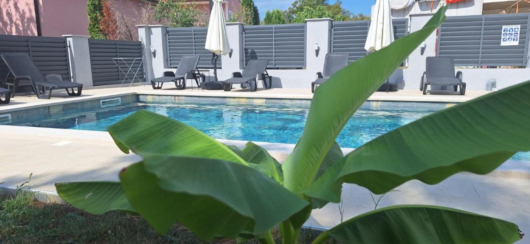 Photo of Others in Strmac