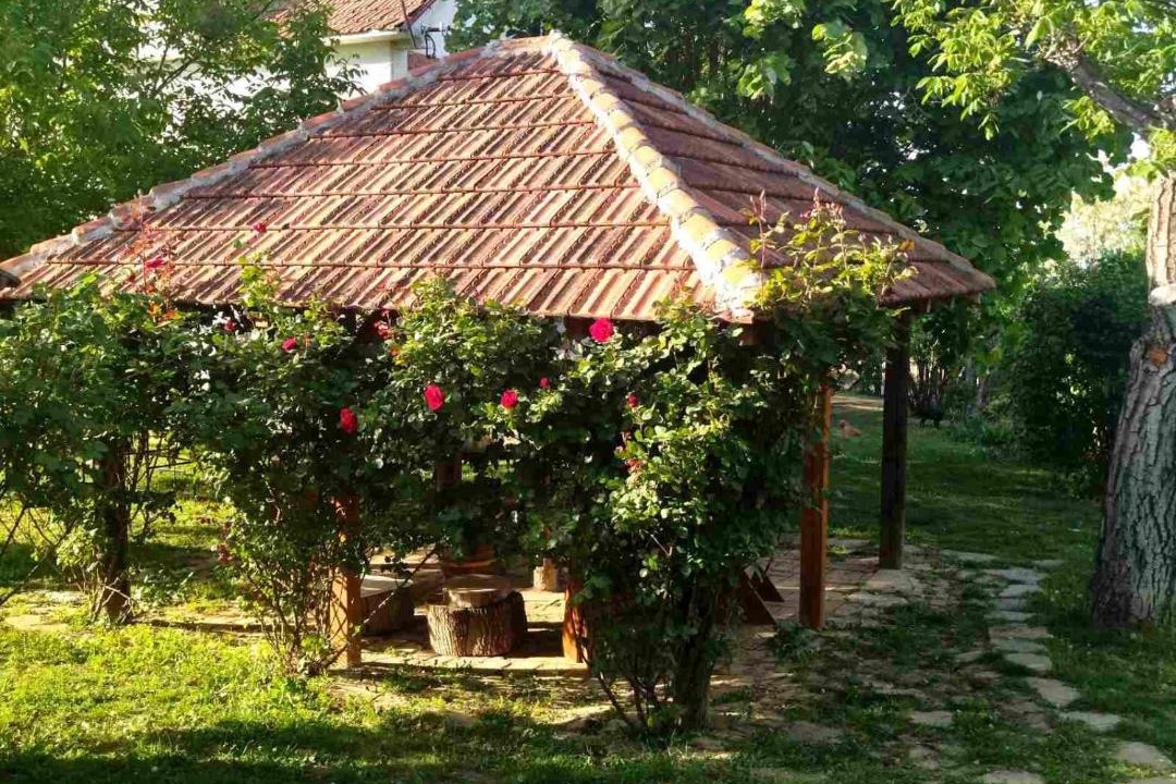 Photo of Others in Mladenovac