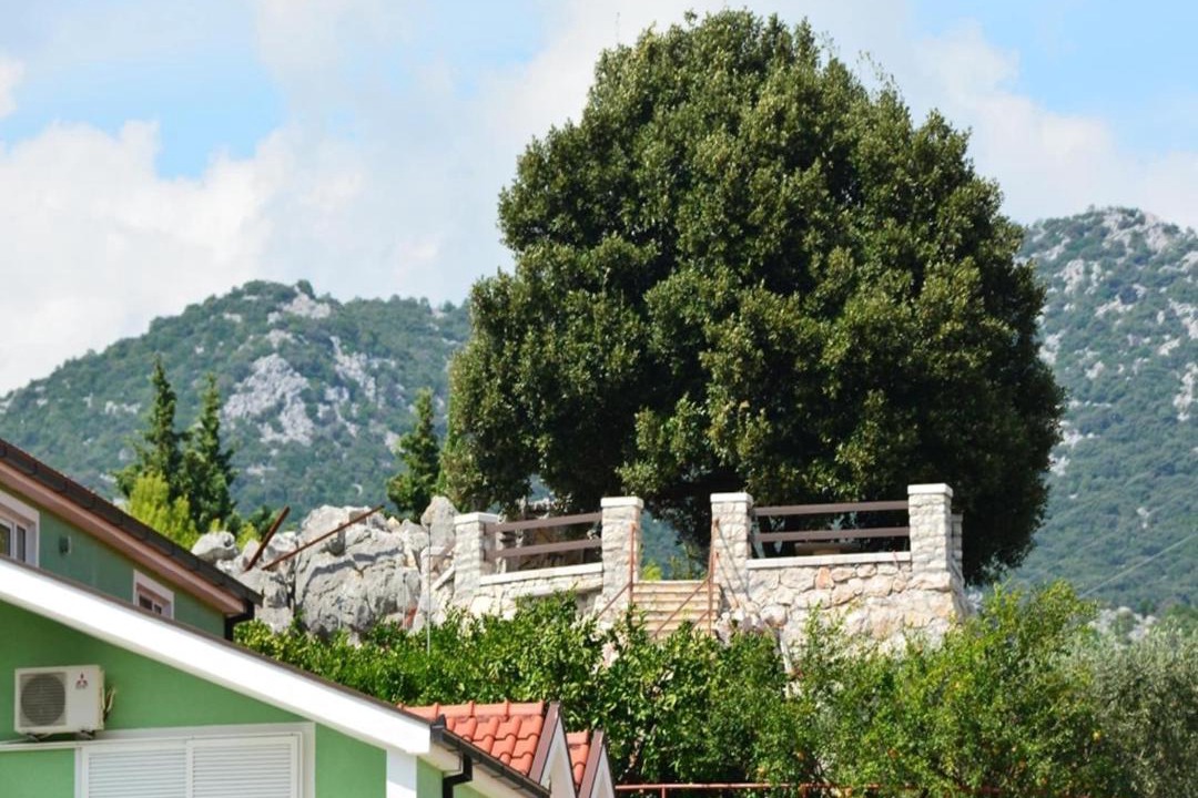 Photo of Others in Peracko Blato