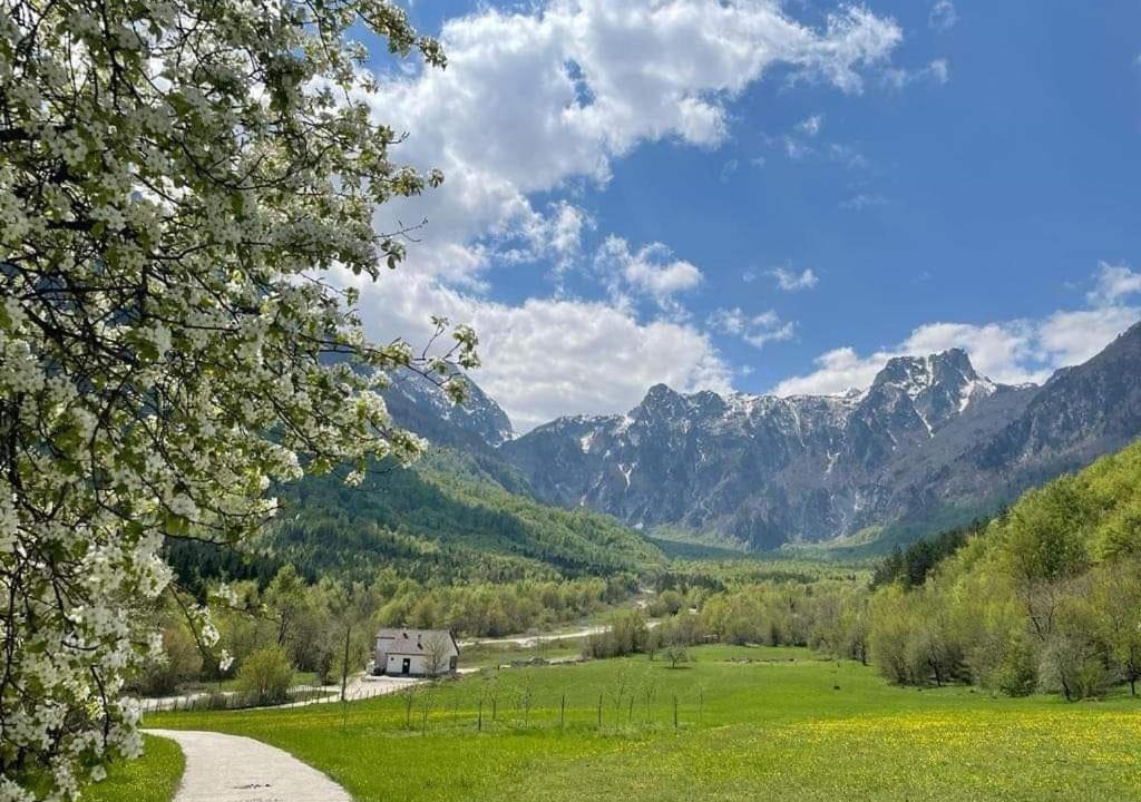Photo of Others in Konjic
