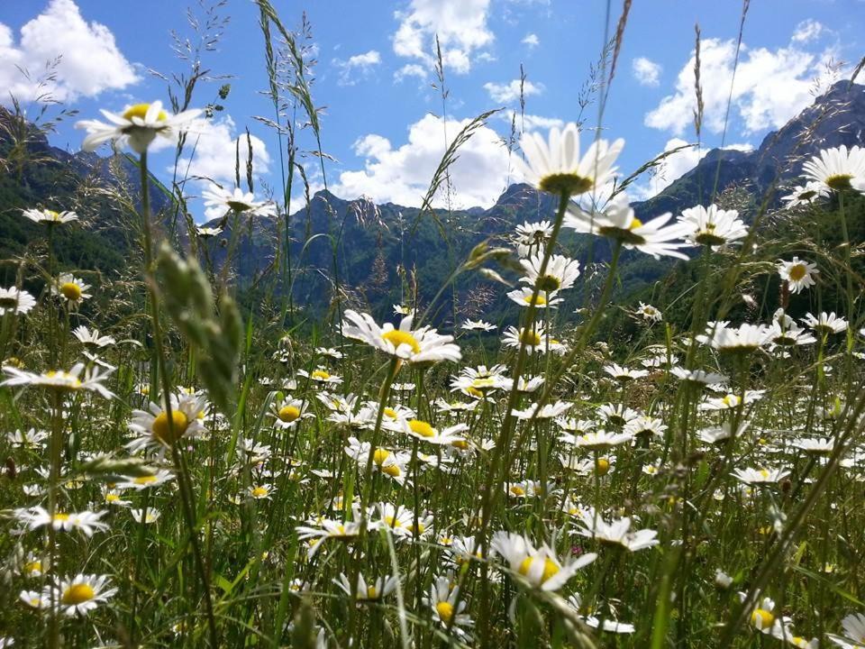 Photo of Others in Konjic