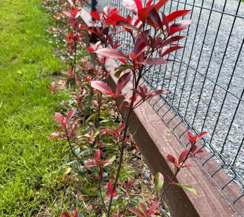 Photo of Outdoor in Virovitica