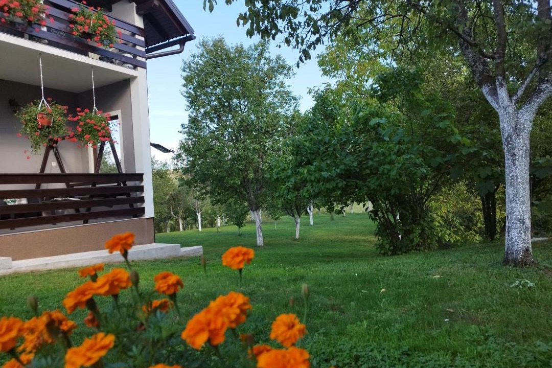Photo of Others in Irinovac