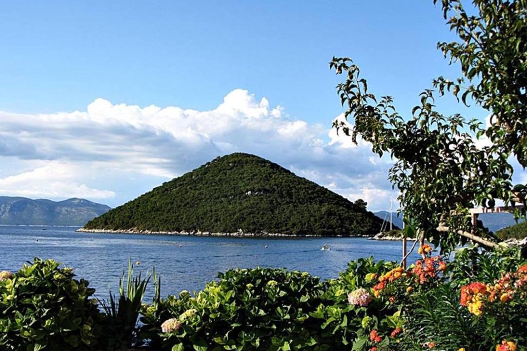 Photo of Others in Prozurska Luka