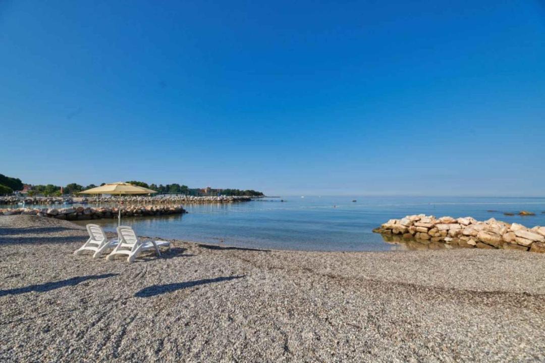 Photo of Others in Monterol