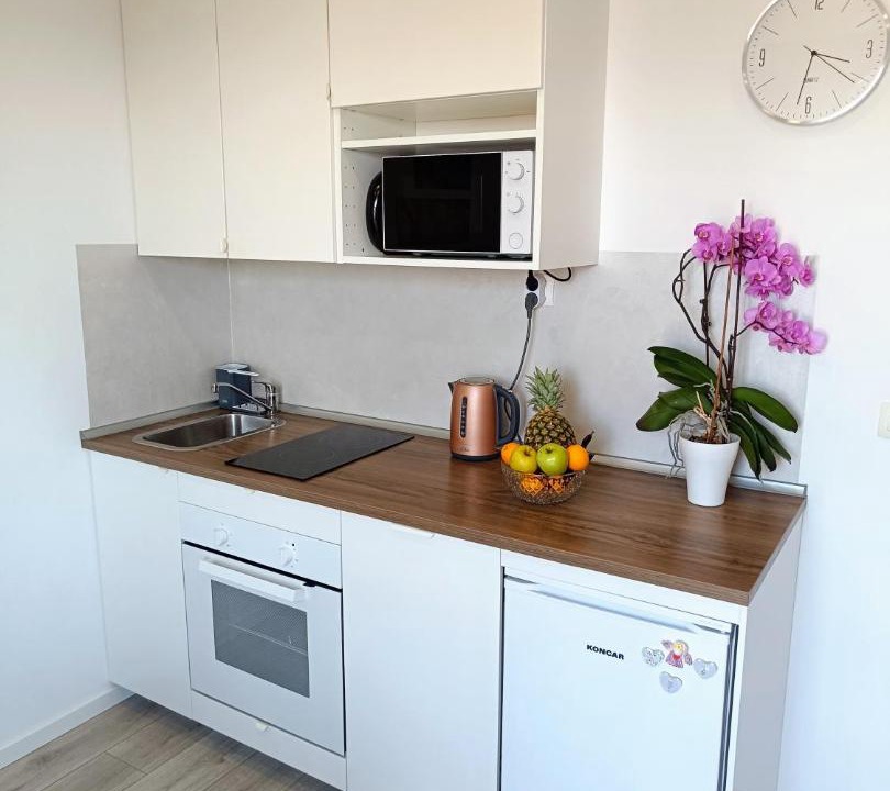 Photo of Kitchen in Zvekovica