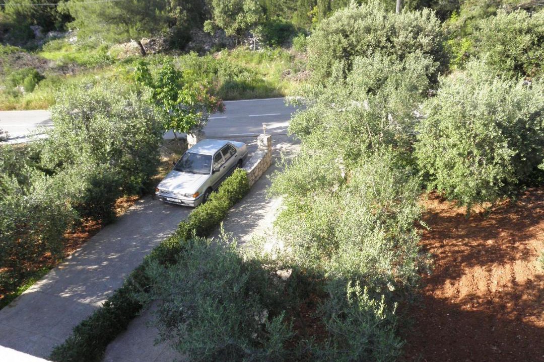 Photo of Others in Muline