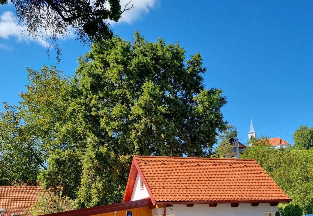 Photo of Others in Sveti Ivan Zelina