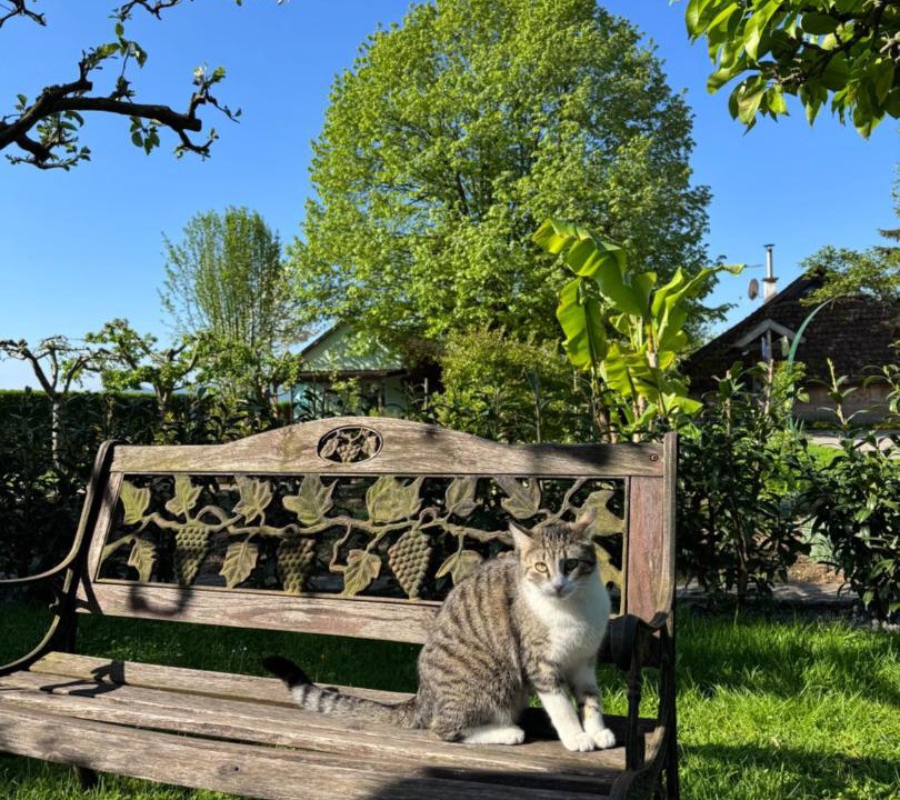 Photo of Others in Sencur