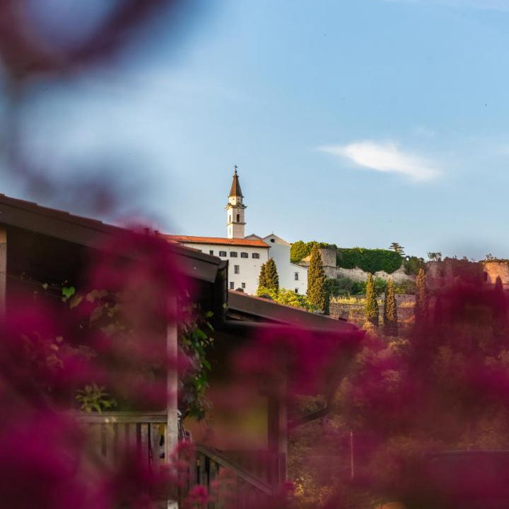Photo of Others in Dobravlje