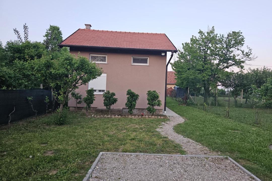 Photo of Others in Vukovar
