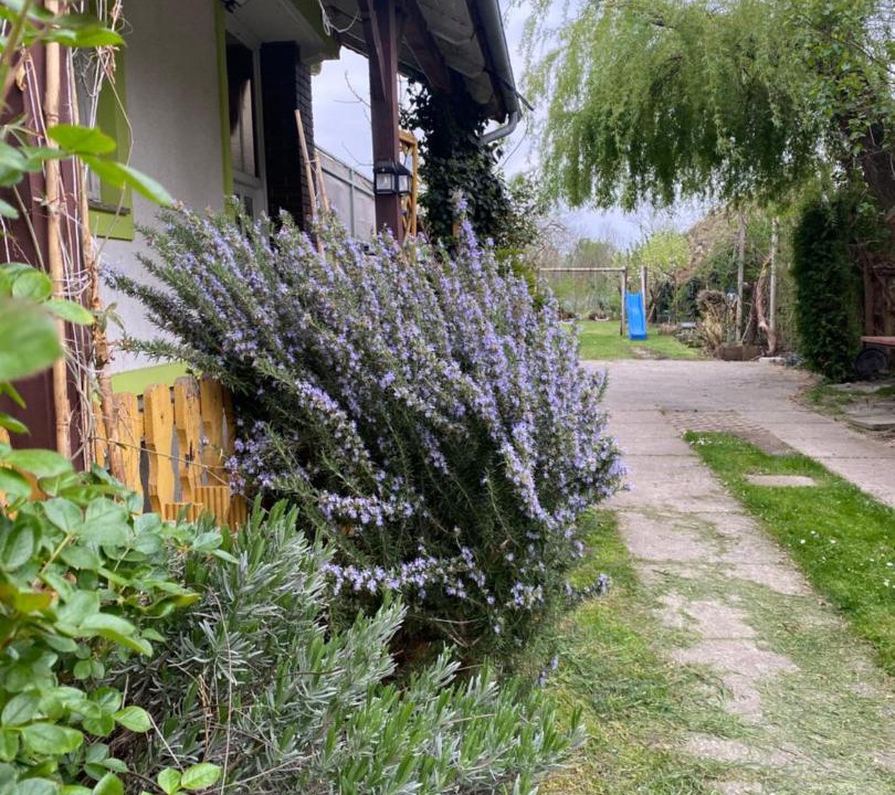 Photo of Outdoor in Mala Subotica