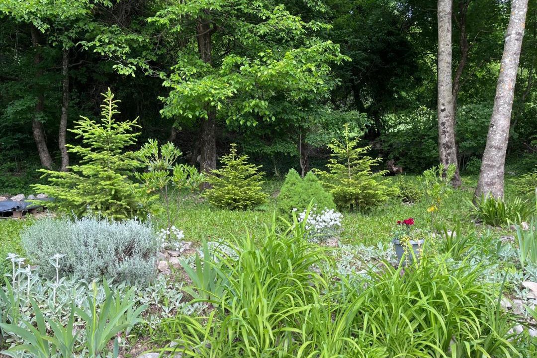 Photo of Outdoor in Lupoglav