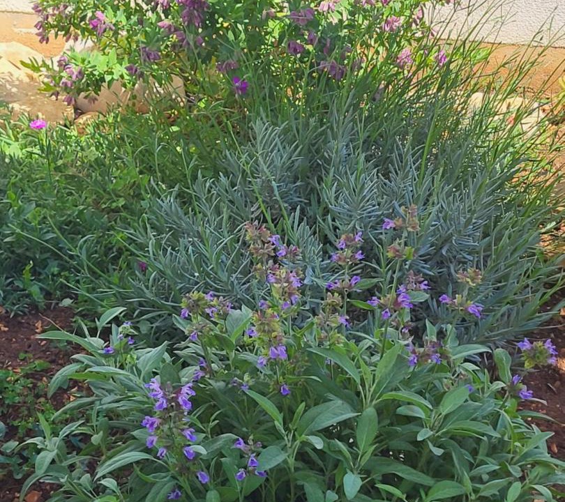 Photo of Outdoor in Iz