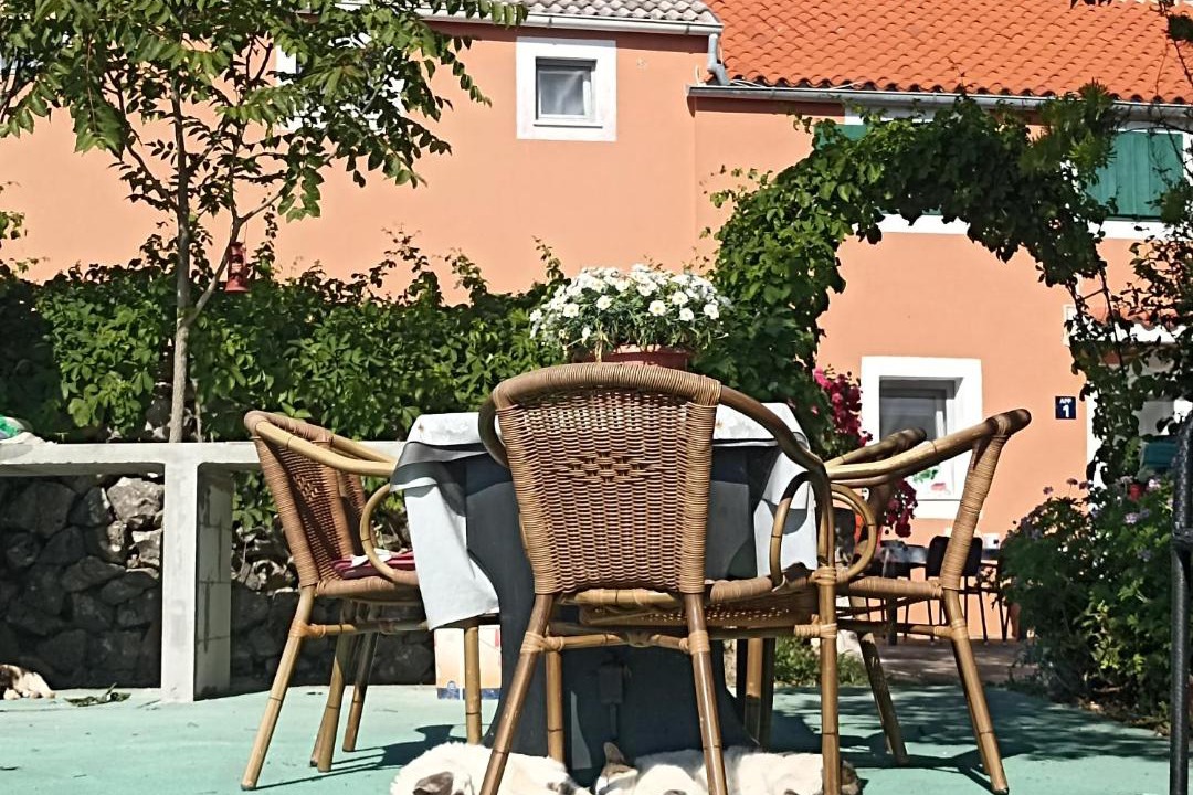 Photo of Others in Veli Losinj