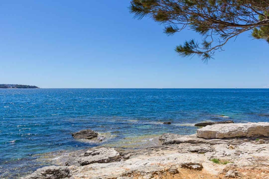 Photo of Others in Pula