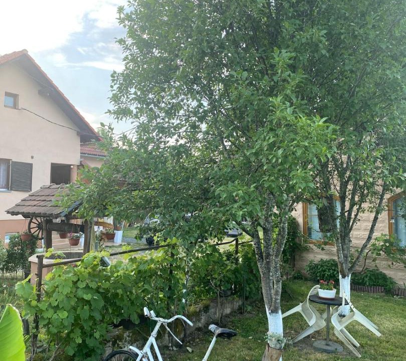 Photo of Others in Glina