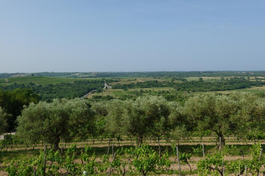 Photo of Others in Buje