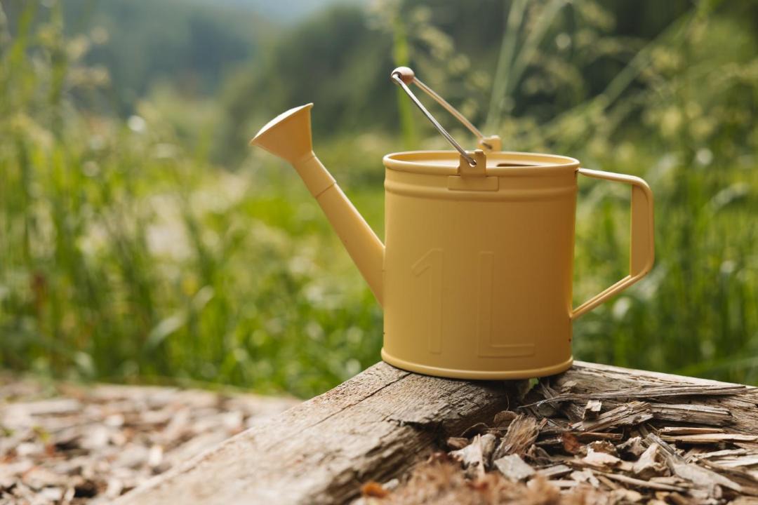 Photo of Outdoor in Lukovica