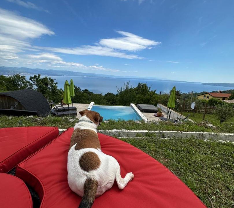 Photo of Others in Opatija