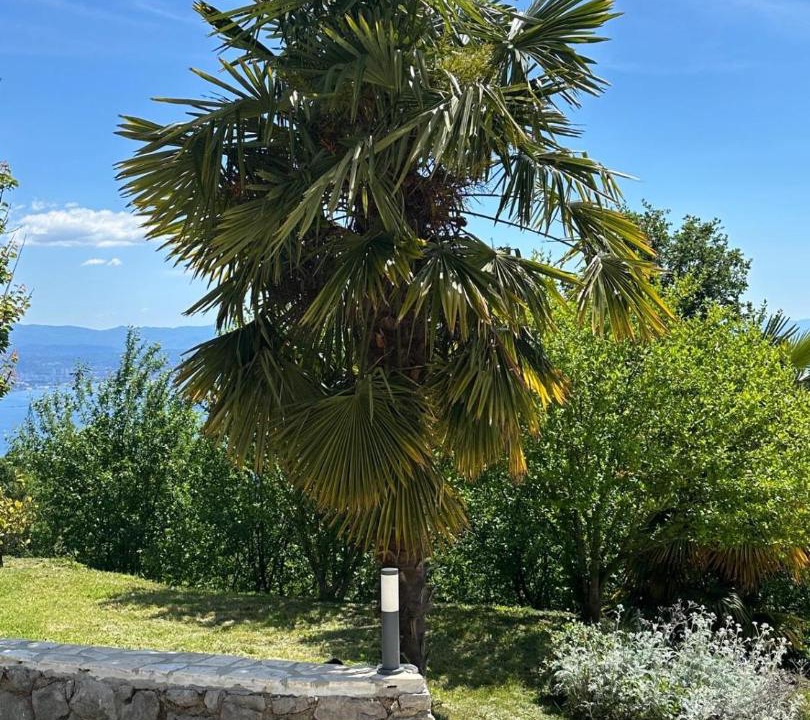 Photo of Others in Opatija
