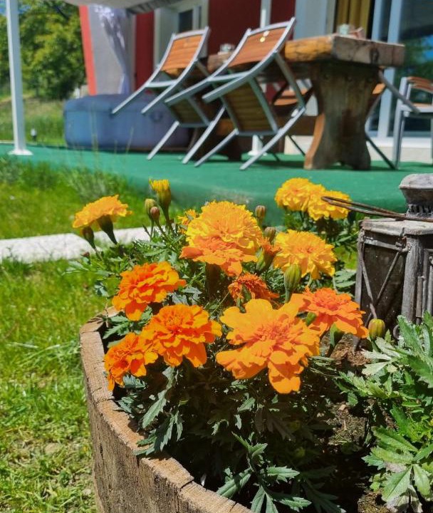 Photo of Others in Brod Moravice