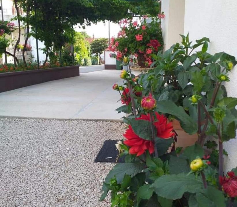 Photo of Others in Biograd na Moru