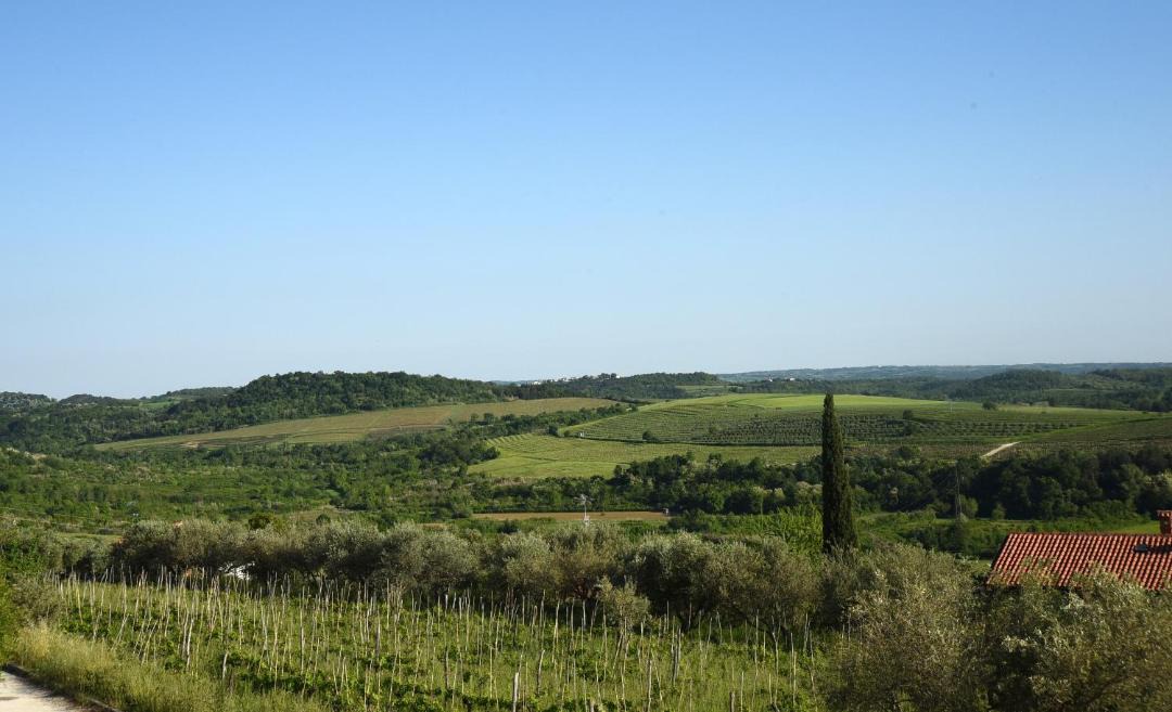 Photo of Others in Buje