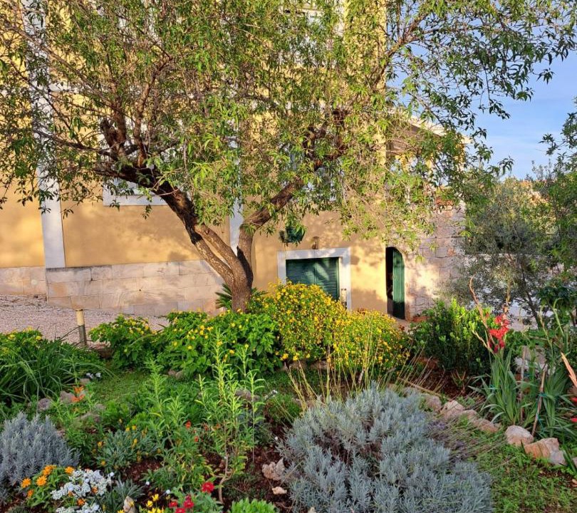Photo of Others in Island Dugi Otok