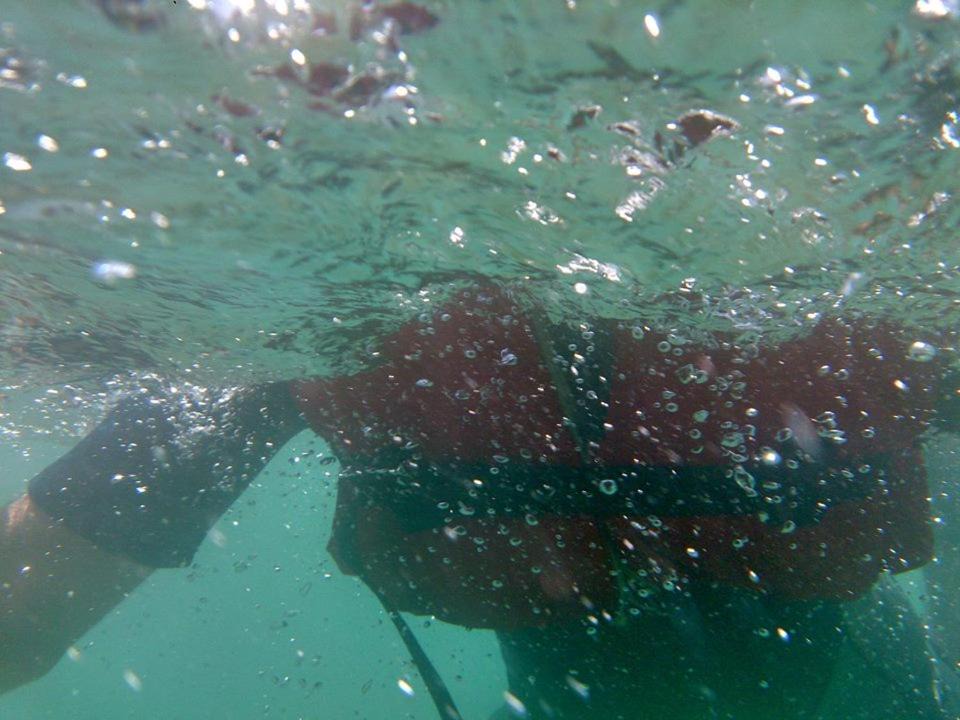 Photo of Others in Foca