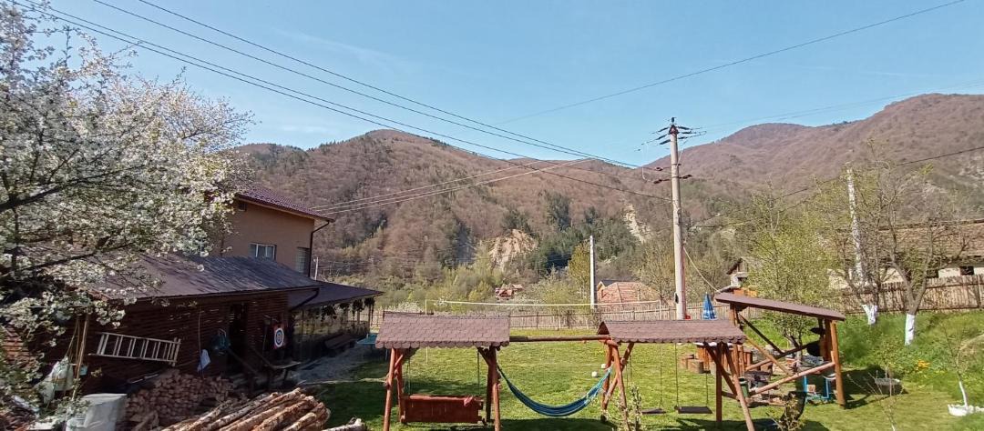 Photo of Others in Nehoiu