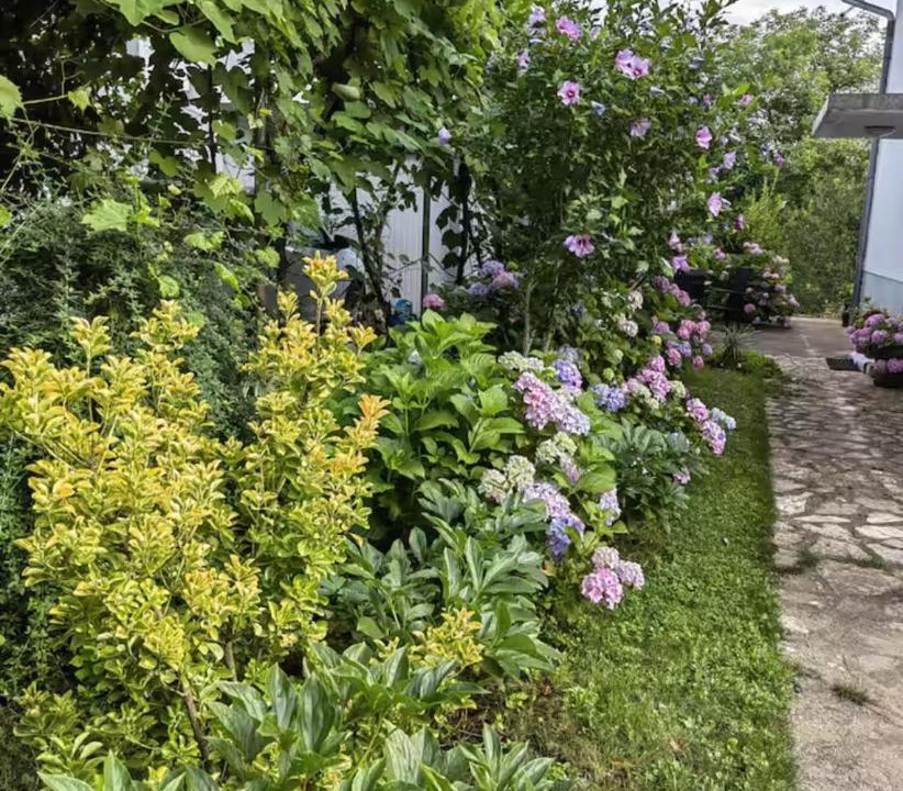 Photo of Outdoor in Grabovac