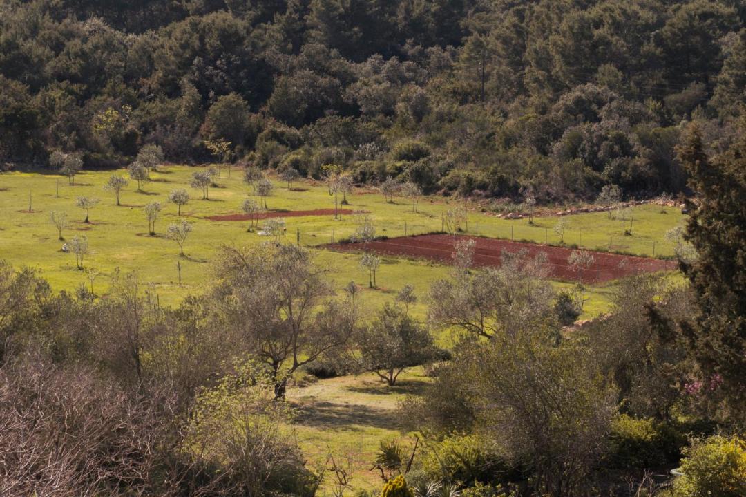 Photo of Others in Batalaza