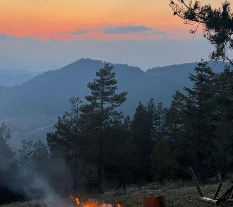 Photo of Others in Zlatibor