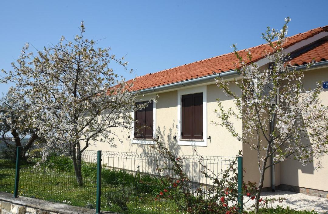 Photo of Others in Buje