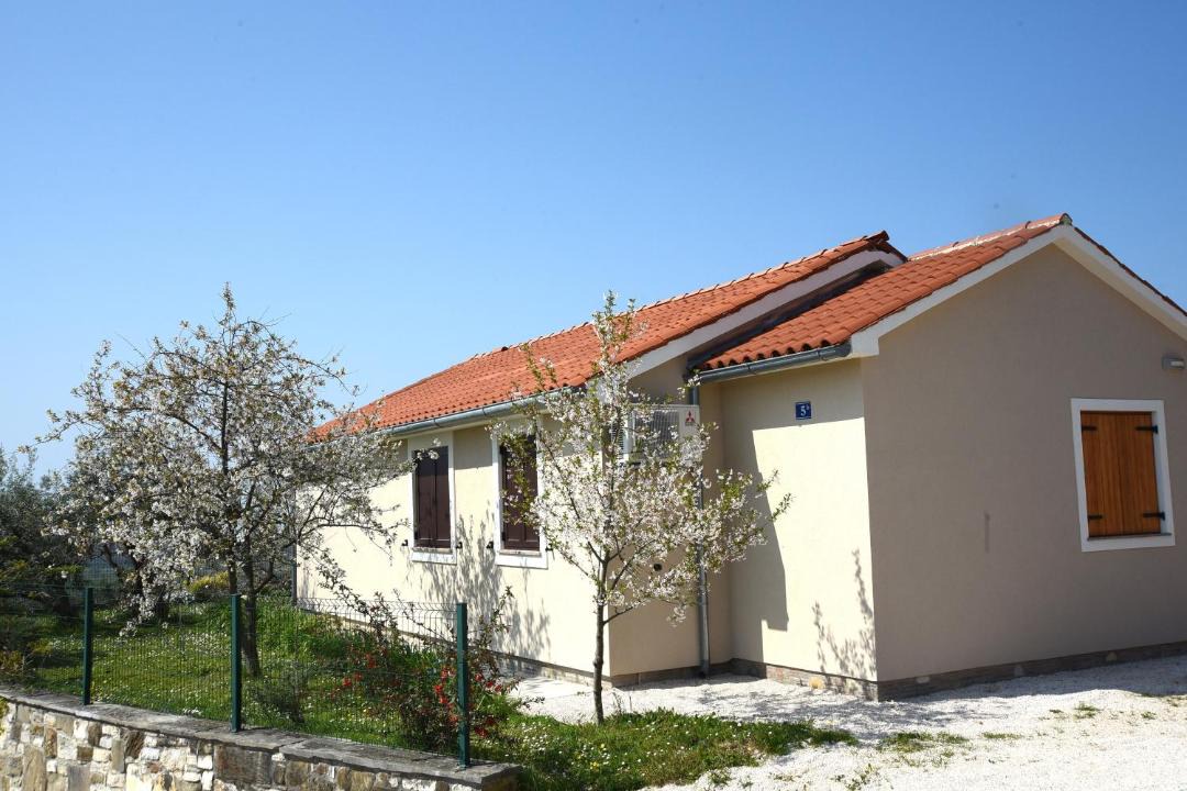 Photo of Others in Buje
