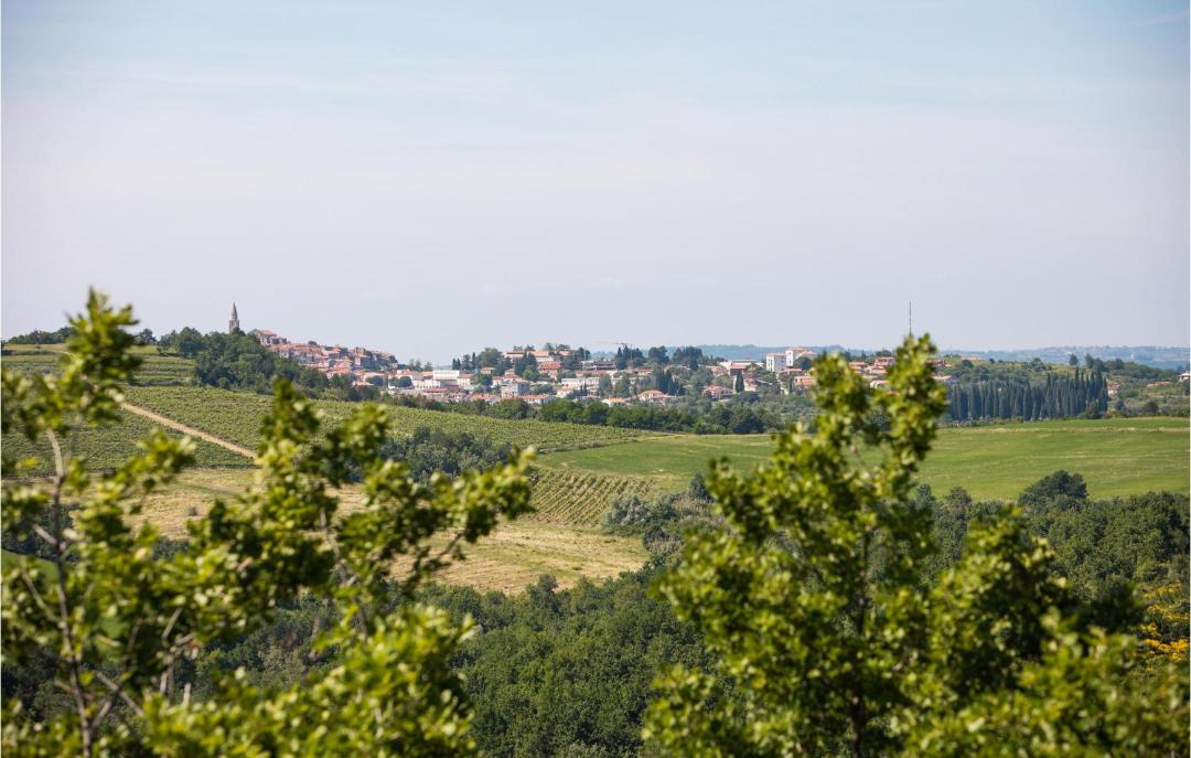 Photo of Others in Baredine