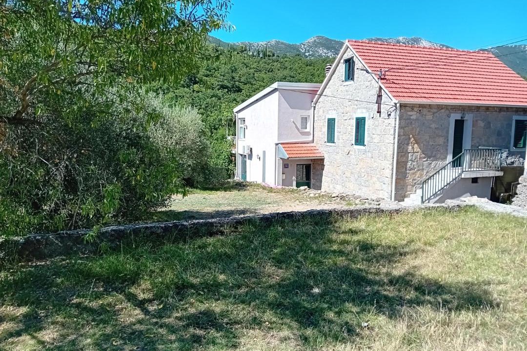 Photo of Others in Slime