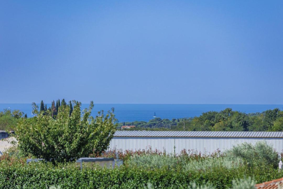 Photo of Others in Novigrad