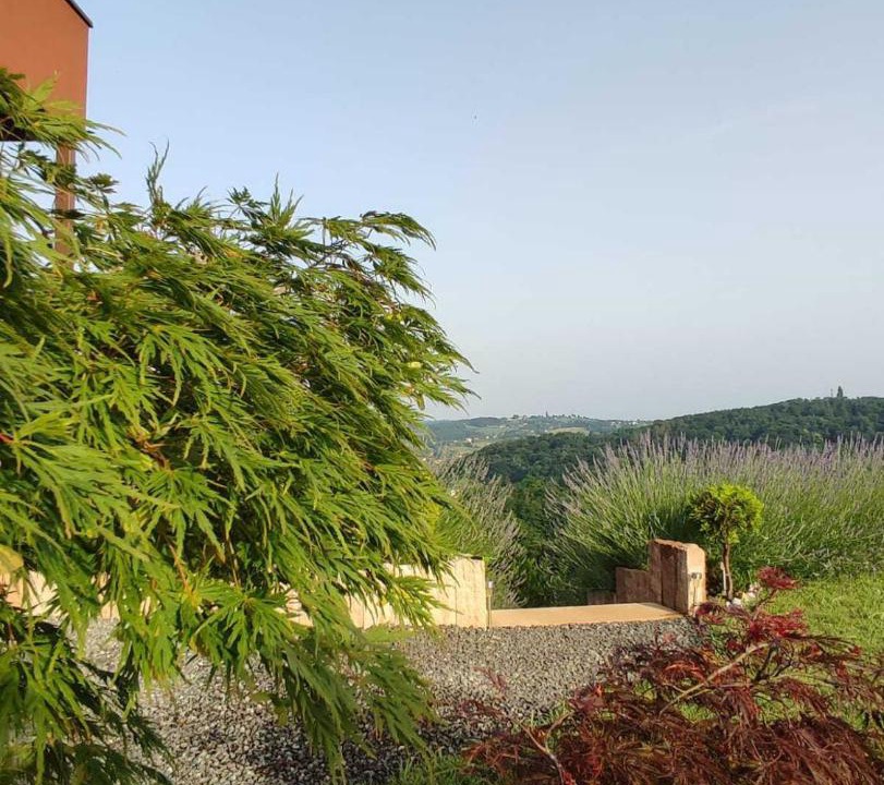 Photo of Others in Strigova