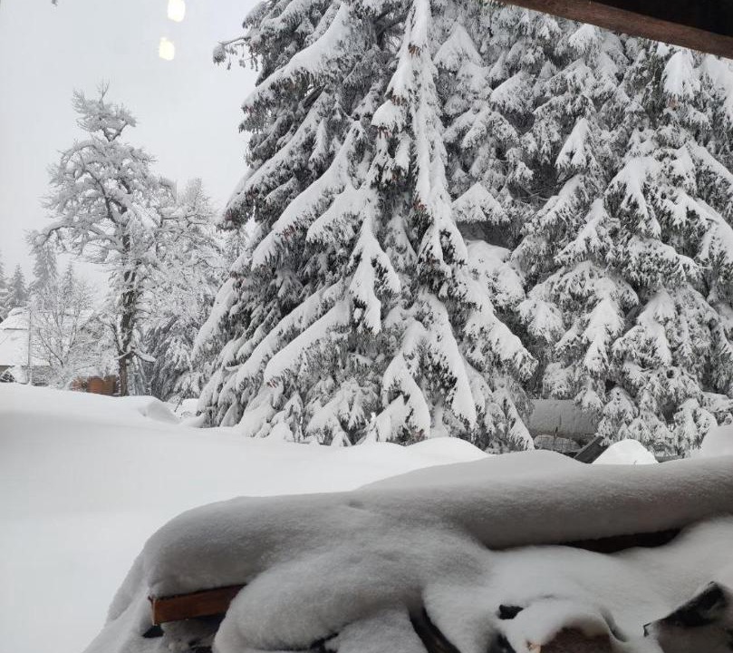 Photo of Others in Jahorina