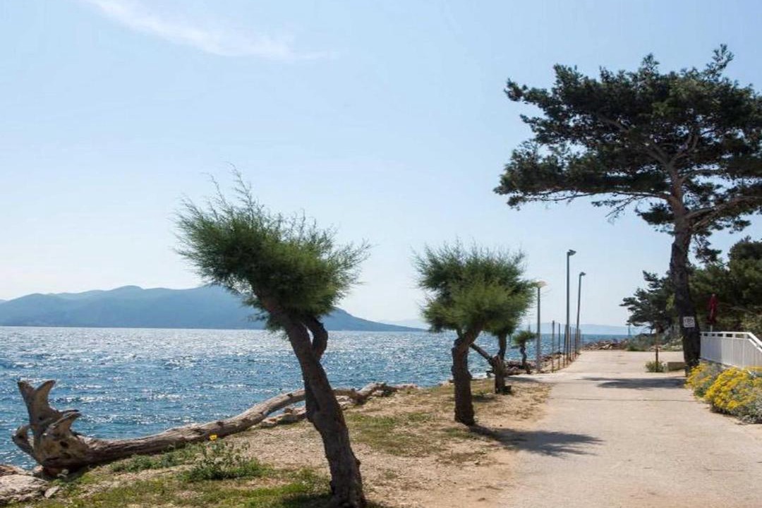 Photo of Others in Trstenik