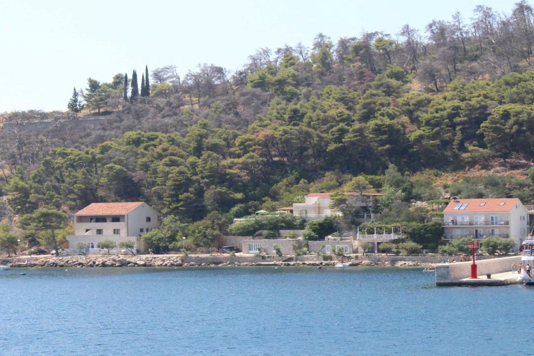 Photo of Others in Trstenik