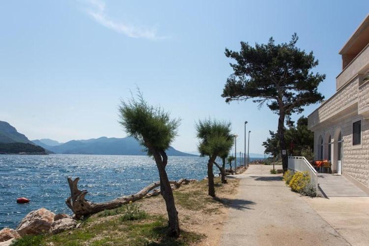 Photo of Others in Trstenik