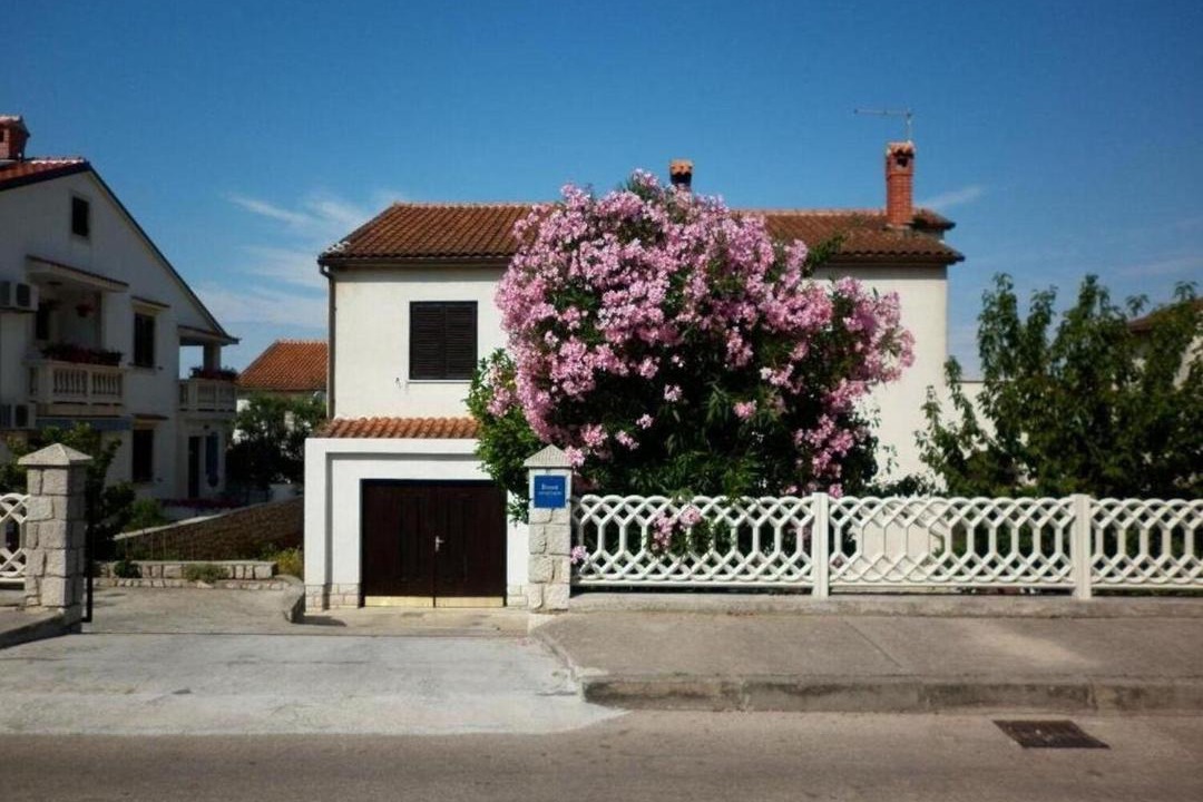 Photo of Others in Cove Murtar