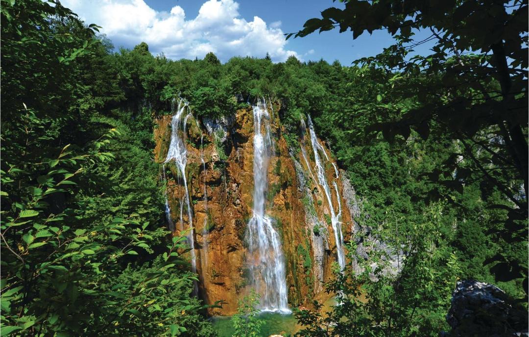 Photo of Others in Cujica Krcevina